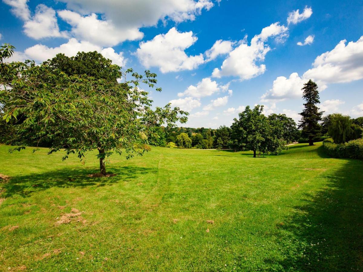 Lily Cottage Tew Dış mekan fotoğraf